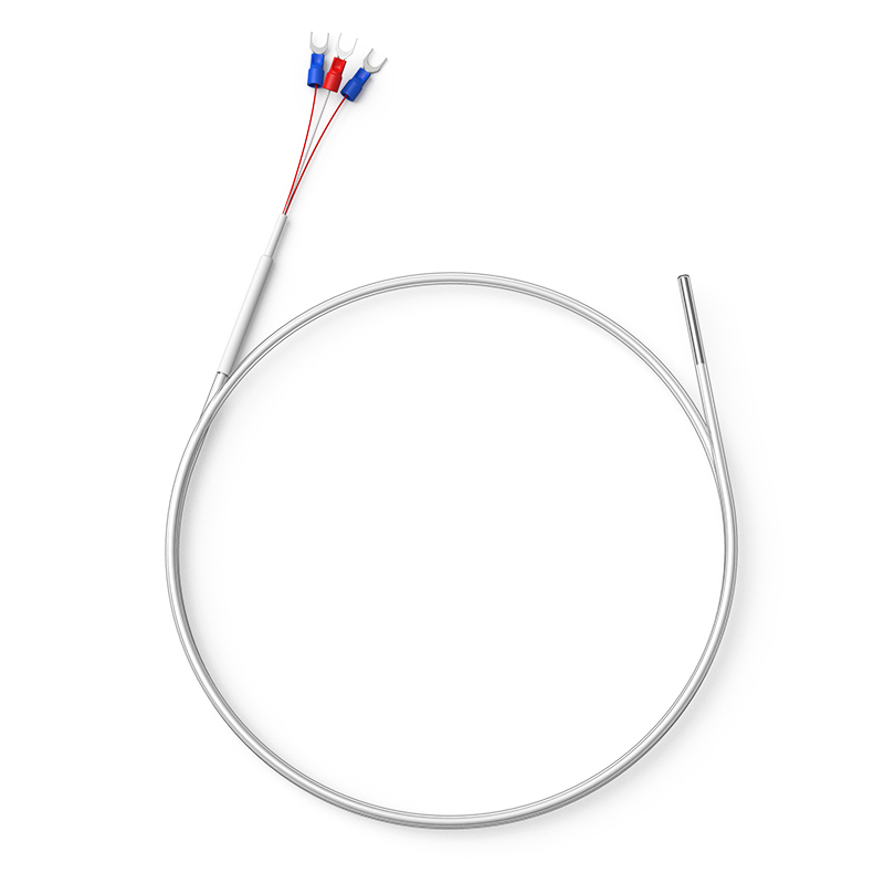 鐵氟龍熱電阻12_http://m.aukj.cn_溫度儀表_第1張