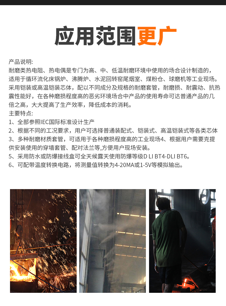 WRNM-131耐磨熱電偶15_http://m.aukj.cn_溫度儀表_第6張